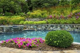 6 Best Plants For Around Pool Areas