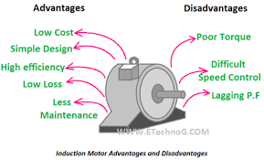 induction motor advanes and