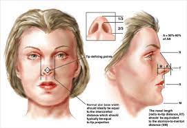 rhinoplasty surgery cost in india