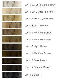 hair color levels and diffe volumes