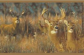 white tail deer wallpaper border by