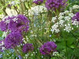 Cottage Garden Rustic Garden