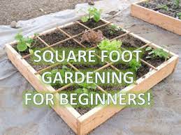 Garden Box Square Foot Gardening