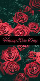 rose day love flowers happy rose day