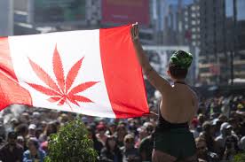 Legalizing Marijuana in New Zealand