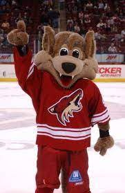 Howler the coyote is an official mascot of arizona coyotes. Things To Do In Phoenix Phoenix Coyotes Arizona Coyotes Hockey Arizona Coyotes