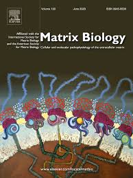 matrix biology journal