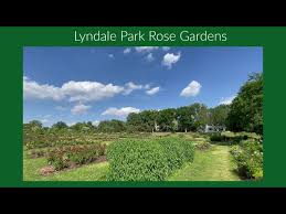 lyndale park rose gardens you