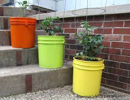 Maybe you would like to learn more about one of these? 5 Gallon Bucket Planter Practical Whimsy Designs