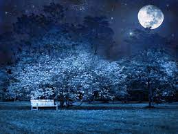A Moonlight Garden The New Romantic