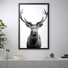 framed prints wall deer wall art