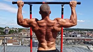bodyweight back exercises workouts