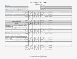 Medical Record Chart Audit Tool Medical Chart Audit Tool