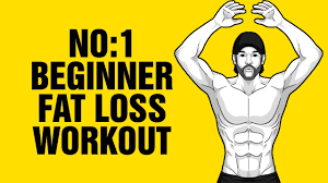 12min beginner fat loss home workout