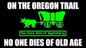 The Oregon trail is something different. | Funny gaming memes, Gaming memes,  Funny games