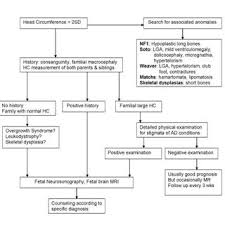 Flow Chart In Patients With Suspected Macrocephaly