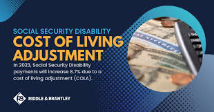 social security diity payments