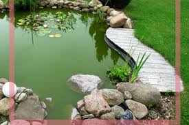 How To Create A Traditional Garden Pond