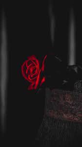 Black Rose Wallpaper - NawPic