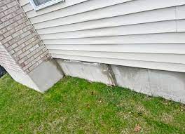 prevent mold growth on concrete