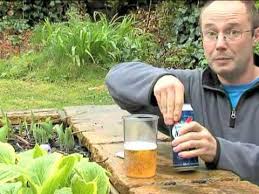 how to make a beer trap for slugs