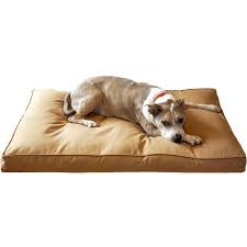 This one is a little smaller and lighter than the others, but that might be a good thing for you. Buy Chew Proof Dog Bed Dog Beds For Chewers Bully Beds
