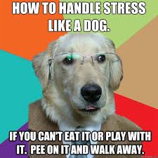Funniest quotes and most hilarious phrases will make you laugh while giving you wisdom. Best 50 Funny Memes About Stress
