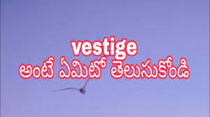 vestige meaning in telugu and english