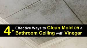 Bathroom Ceiling Cleaning Getting