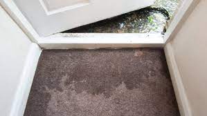 our services refresh carpet cleaning