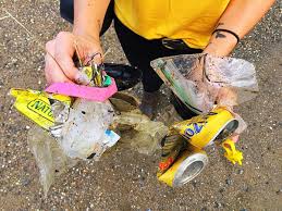 Image result for plastic pollution