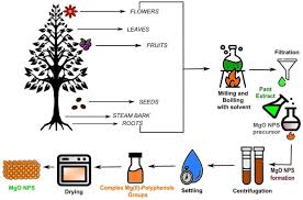 Green Magnesium Oxide Prepared By Plant