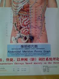 Abdominal Acupuncture Point Wall Chart Punti Di