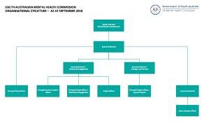 Organisational Structure Sa Mental Health Commission