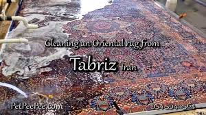 oriental rug from tabriz iran