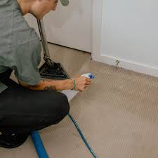 the best 10 carpet cleaning in surrey