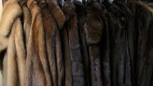 Fur Storage And Fur Cleaning Fur
