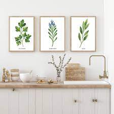 Kitchen Herb Prints Watercolour Herbs