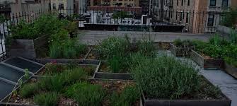 How To Create A Roof Garden In Nyc