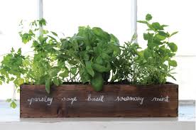 How To Grow A Windowsill Herb Garden