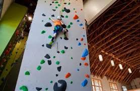 Wooden Rock Climbing Wall Size 24 X 8