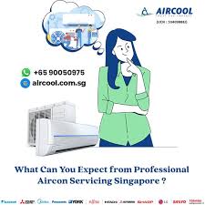 professional aircon servicing singapore