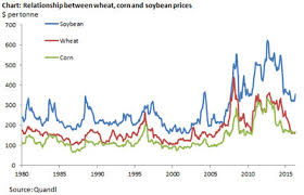 History Suggests That Soybean Price Rally Is Not Built On