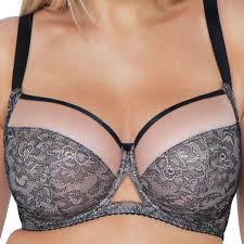 Curvy Kate Victory Amore Lace Balcony Ck1002
