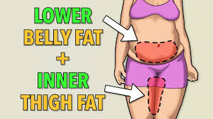 lower belly fat inner thigh fat