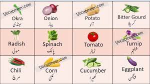 vegetables name in urdu and english