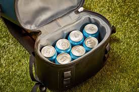 the 8 best backpack coolers of 2024