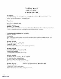 Resume Examples Customer Service Archives Wattweiler Org New