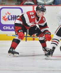 Complete player biography and stats. Scouching 17 Marco Rossi C Ottawa 67s Video Analytics Breakdown
