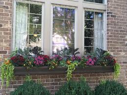 Wrought iron window boxes with wall full of ivy at farniente winery: Jill Kelley S Two Large Window Boxes Pots With Purpose Facebook